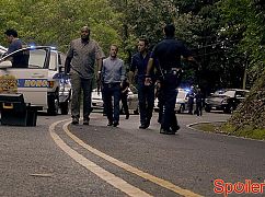 Hawaii 5.0: 5x24 Luapo’i - zdjęcia promocyjne