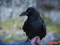 Zdjęcia z planu serialu Jonathan Strange & Mr Norrell