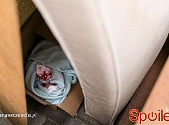 Barwy szczęścia odc. 1299 - zdjęcia promocyjne