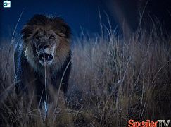 Zoo: 1x01 First Blood - zdjęcia promocyjne