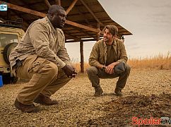 Zoo: 1x01 First Blood - zdjęcia promocyjne