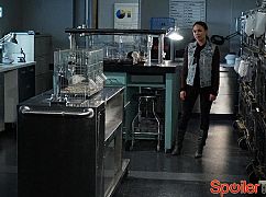 Słodkie kłamstewka: 6x06 No Stone Unturned - zdjęcia promocyjne