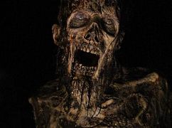 Zdjęcia promocyjne 6 sezonu serialu Żywe trupy