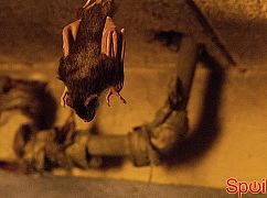 Zoo: 1x05 Blame it on Leo - zdjęcia promocyjne