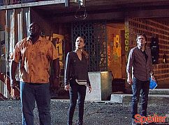 Zoo: 1x05 Blame it on Leo - zdjęcia promocyjne