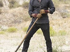Ray Donovan: 3x08 Tulip - zdjęcia promocyjne