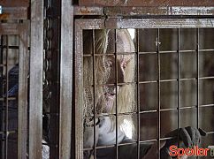 Defiance: 3x12 The Awakening - zdjęcia promocyjne