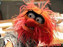 The Muppets: 1x01 Pilot - zdjęcia promocyjne