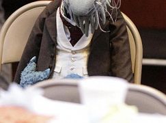 The Muppets: 1x01 Pilot - zdjęcia promocyjne