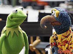 The Muppets: 1x01 Pilot - zdjęcia promocyjne