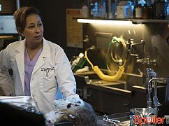 Prawo i bezprawie: 17x02 Criminal Pathology - zdjęcia promocyjne
