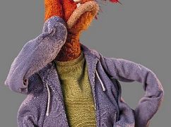 Zdjęcia promocyjne obsady 1 sezonu serialu The Muppets