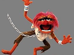Zdjęcia promocyjne obsady 1 sezonu serialu The Muppets