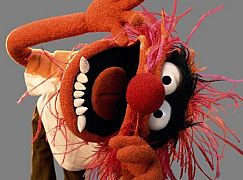 Zdjęcia promocyjne obsady 1 sezonu serialu The Muppets