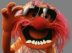Zdjęcia promocyjne obsady 1 sezonu serialu The Muppets