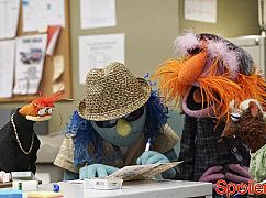 The Muppets: 1x02 Hostile Makeover - zdjęcia promocyjne