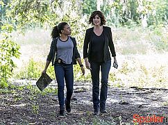 NCIS: New Orleans: 2x04 I Do - zdjęcia promocyjne