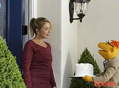 The Muppets: 1x03 Bear Left then Bear Write - zdjęcia promocyjne