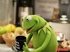 The Muppets: 1x03 Bear Left then Bear Write - zdjęcia promocyjne