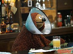 The Muppets: 1x03 Bear Left then Bear Write - zdjęcia promocyjne