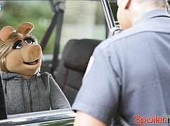 The Muppets: 1x03 Bear Left then Bear Write - zdjęcia promocyjne