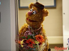 The Muppets: 1x04 Pig Out - zdjęcia promocyjne