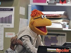 The Muppets: 1x04 Pig Out - zdjęcia promocyjne