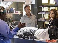 NCIS: New Orleans: 2x05 Foreign Affairs - zdjęcia promocyjne