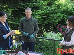 Barwy szczęścia odc. 1331 - zdjęcia promocyjne