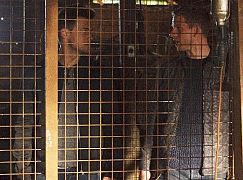 Minority Report: 1x06 Fiddler’s Neck - zdjęcia promocyjne