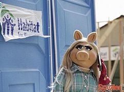 The Muppets: 1x05 Walk the Swine - zdjęcia promocyjne