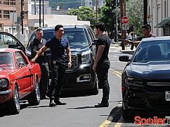Hawaii 5.0: 6x08 Piko Pau 'iole - zdjęcia promocyjne