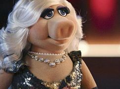 The Muppets: 1x06 Ex-Factor - zdjęcia promocyjne