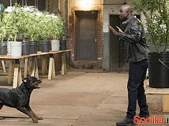 Zdjęcia promocyjne 1 sezonu serialu Jessica Jones