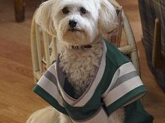 The Goldbergs: 3x07 Lucky - zdjęcia promocyjne