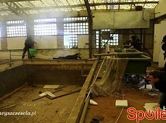 Barwy szczęścia odc. 1346 - zdjęcia promocyjne