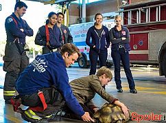 Chicago Fire: 4x08 When Tortoises Fly - zdjęcia promocyjne
