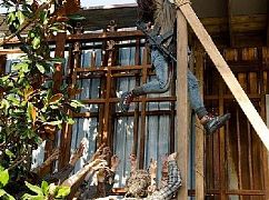 Żywe trupy: 6x08 Start to Finish - zdjęcia promocyjne