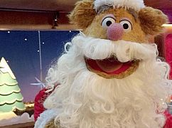 The Muppets: 1x10 Single All the Way - zdjęcia promocyjne