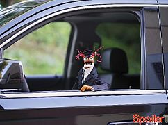 The Muppets: 1x11 Swine Song - zdjęcia promocyjne