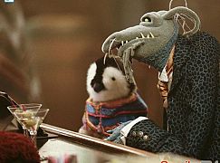 The Muppets: 1x11 Swine Song - zdjęcia promocyjne