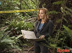 Z Archiwum X: 10x03 Mulder & Scully Meet the Were-monster - zdjęcia promocyjne