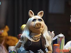 The Muppets: 1x12 A Tail of Two Piggies - zdjęcia promocyjne