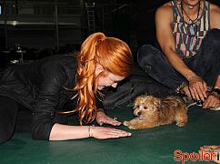Shadowhunters: 1x06 Of Men and Angels - zdjęcia promocyjne