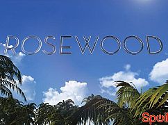 Plakaty promocyjne 1 sezonu serialu Rosewood