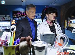 Agenci NCIS: 13x15 React - zdjęcia promocyjne