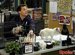Brooklyn Nine-Nine: 3x19 Terry Kitties - zdjęcia promocyjne