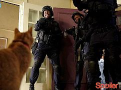 Brooklyn Nine-Nine: 3x19 Terry Kitties - zdjęcia promocyjne