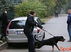 Barwy szczęścia odc. 1409 - zdjęcia promocyjne