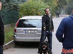 Barwy szczęścia odc. 1409 - zdjęcia promocyjne